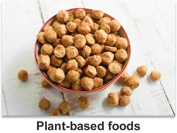 Plant-based foods